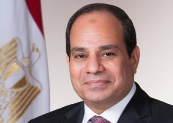 خالد فهمى: استقرار الأوضاع في دول الجوار أمن قومى مصري 7