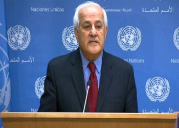 مندوب فلسطين بالأمم المتحدة: مصر في طليعة الأطراف الساعية لوقف العدوان.. فيديو 2