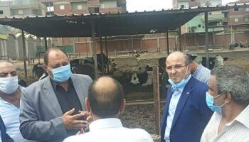 المهندس مصطفى الصياد نائب وزير الزراعة لشئون الثروة الحيوانية