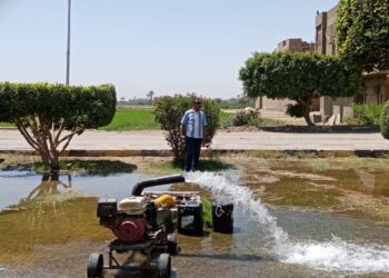 اغراقها بالمياه هو الحل.. غلق المتنزهات أمام المواطنين في شم النسيم بسوهاج 1