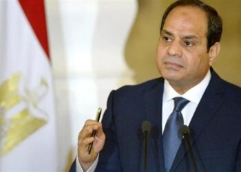 الرئيس السيسي يوجه بتدقيق كافة الدراسات الخاصة باستصلاح الأراضي في سيناء 4