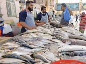 أسعار الأسماك اليوم الثلاثاء 29-6-2021 بسوق العبور