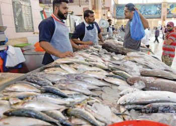 أسعار الأسماك اليوم الثلاثاء 29-6-2021 بسوق العبور