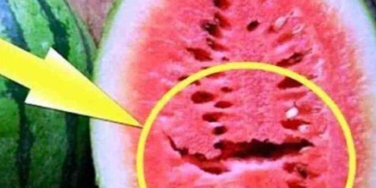 « البطيخ فيه سم قاتل » حالة من الرعب يسيطر على «السوشيال ميديا».. وشعبة الفواكه توضح الحقيقة 1