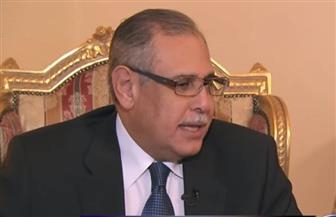 سفير مصر في روسيا: 50 شركة وقعت على عقود الاستثمار بشرق بورسعيد والسخنة.. فيديو 4