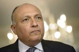 غدا.. أول مؤتمر صحفي بين وزيرا خارجية مصر وقطر في القاهرة منذ 8 سنوات 5