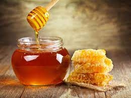البحوث الزراعية: 2800 طن حجم صادرات مصر من العسل في 2020 .. فيديو 1