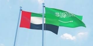 ‎الإمارات تدين محاولة الحوثيين استهداف المنطقة الجنوبية بالسعودية بطائرة مفخخة 4
