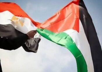 صحفي فلسطيني: مصر عُكاز قدرتنا واستقامة الأرض وقمح الخزين 5