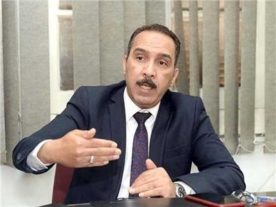 الدكتور محمد عبدالفتاح وكيل وزارة الصحة