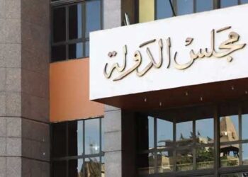 مجلس الدولة ينهي نزاعا بين "نظافة القاهرة" و"القوى العاملة" 3