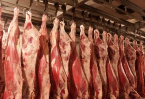 أسعار اللحوم البلدي اليوم الأحد 13يونيو 2021 بالسوق.. اللحوم الضأن 130-150 جنيهاً للكيلو 2