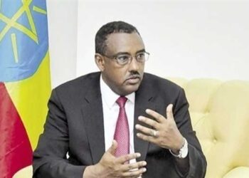 وزير الخارجية الإثيوبي لـ نائب خارجية السويد: مفاوضات سد النهضة يجب أن تحل سلمياً 1