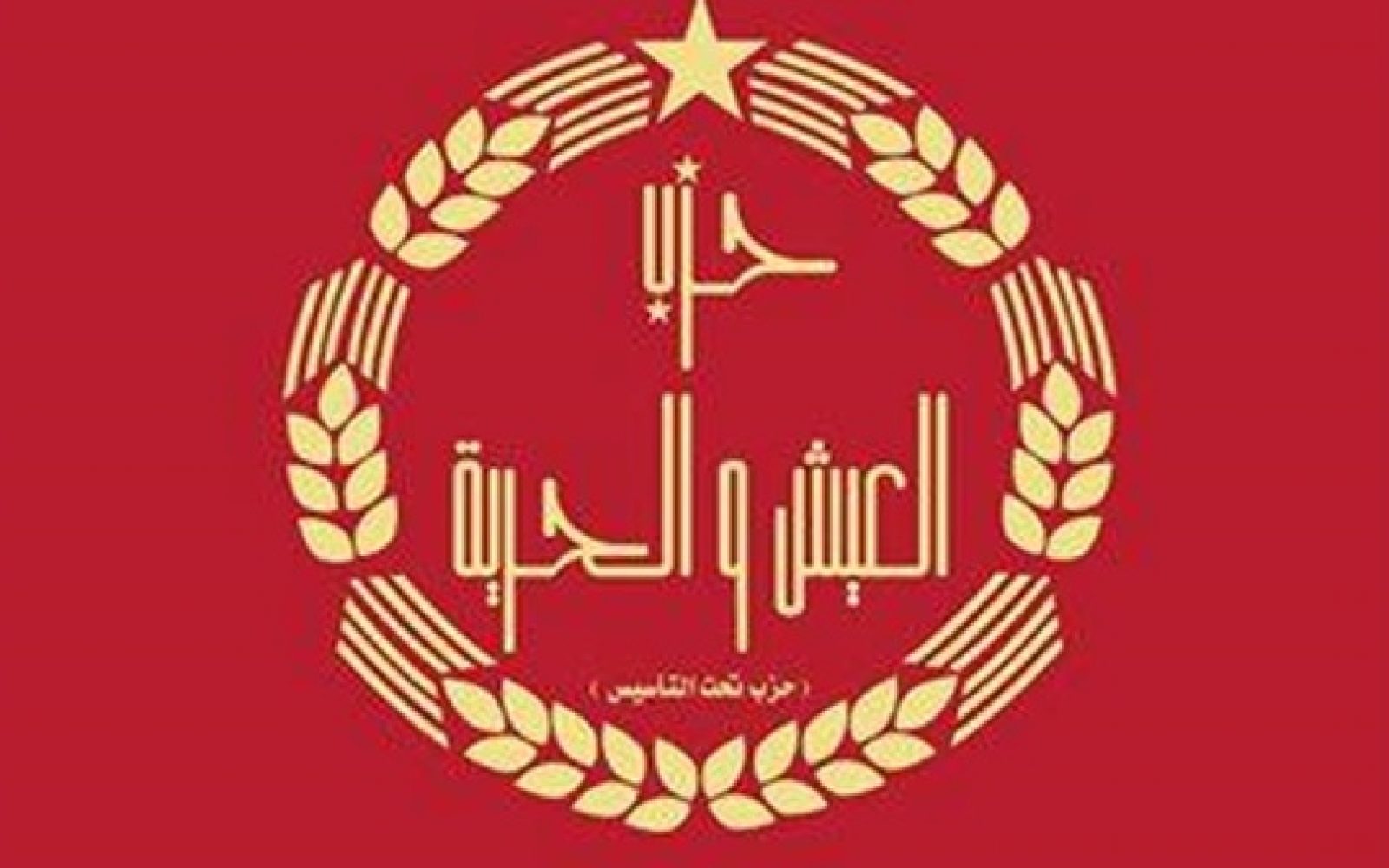 الادارية العليا تقضي بعدم قبول طعن يطالب بحظر نشاط حزب "العيش والحرية" 1