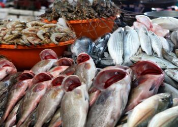 أسعار الأسماك اليوم السبت 12-6-2021 بسوق العبور في مصر 1