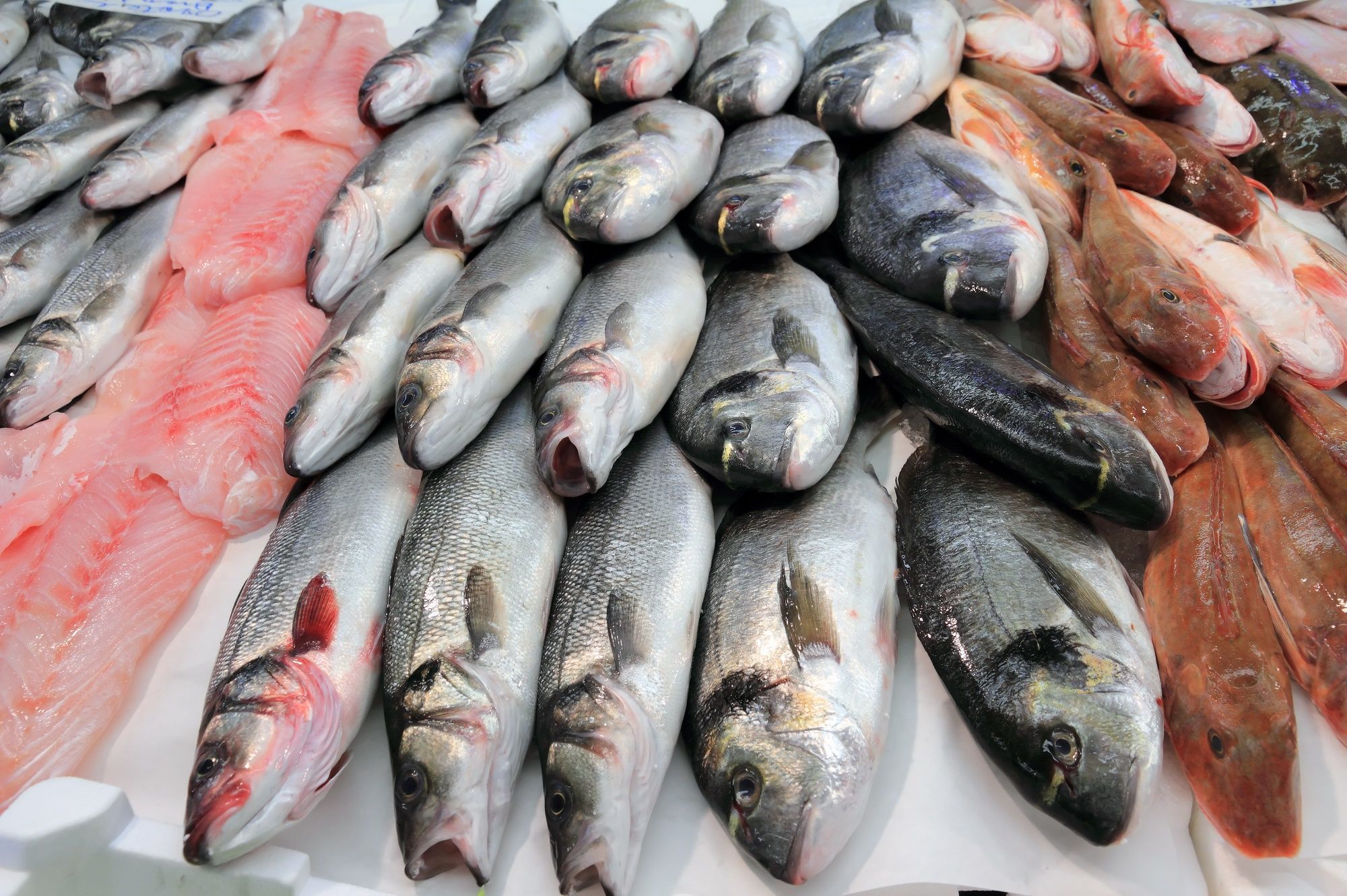 أسعار الأسماك اليوم الأحد 27-6-2021 بسوق العبور