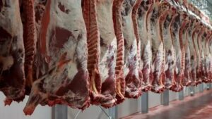 أسعار اللحوم البلدي اليوم الأحد 27-6- 2021 بالسوق