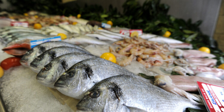 أسعار الأسماك اليوم الأحد 27-6-2021 بسوق العبور