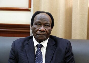 وزير الاستثمار السوداني