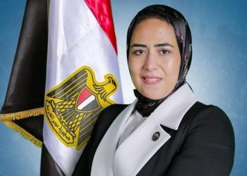 سارة النجار - عضو مجلس النواب