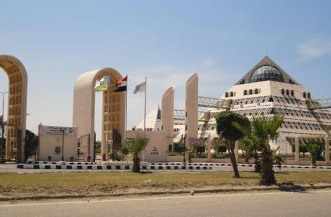 محافظ الإسكندرية يؤكد تكثيف الاستعدادات لاستقبال الزائرين للشواطئ 1