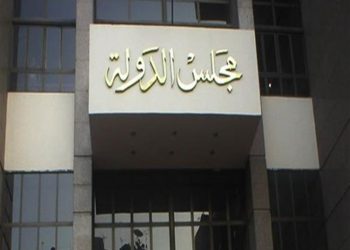 بطلان قرار تأديب مدير عام الشئون الإدارية بمحافظة الجيزة 1