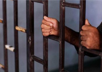 المشدد 15 عام لشقيقين متهمين بقتل طفل بمنشاة ناصر 6