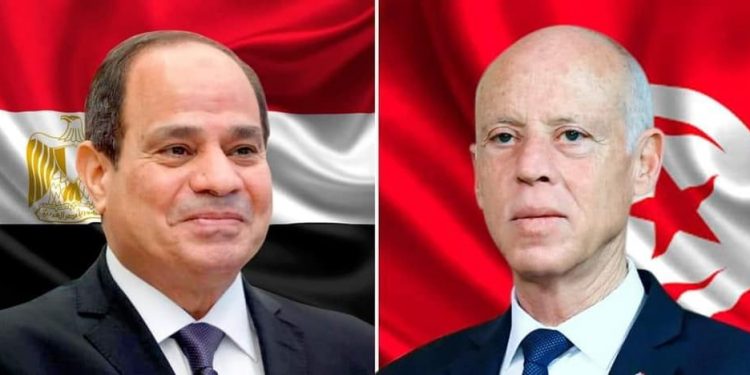 السيسي يتلقى اتصالاً من الرئيس التونسي بشأن مستجدات قضية سد النهضة 1