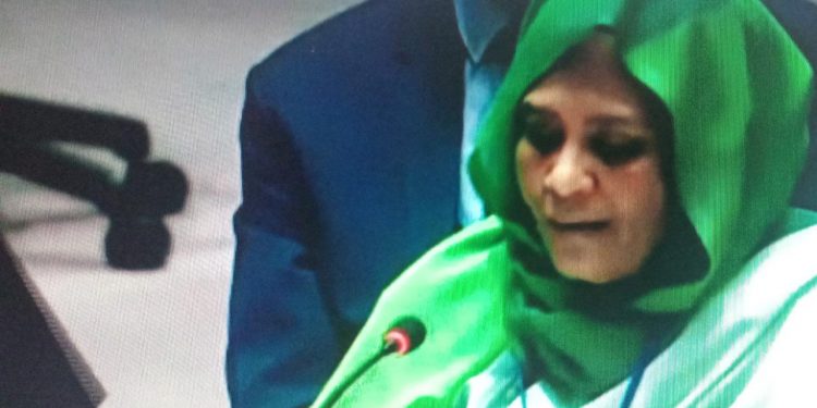 وزيرة خارجية السودان: سد النهضة له اهمية خاصة بالنسبة لنا 1