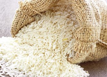 «بـ 100 جنيه».. أسعار الأرز تشهد تراجع «هام» اليوم الجمعة