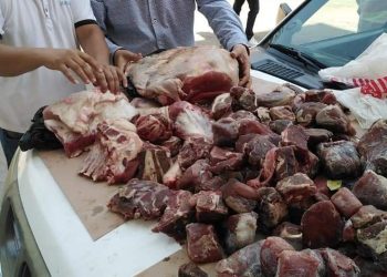 ضبط مصنعين لانتاج اللحوم الفاسدة بالبحيرة