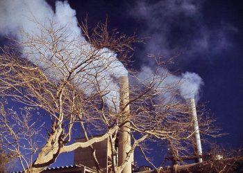 المفوضية الأوروبية: إزالة 268 مليون طن من مكافئ ثاني أكسيد الكربون من الغلاف الجوي