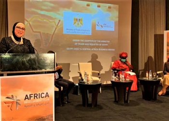 وزيرة التجارة: القارة الإفريقية تقف على أعتاب مرحلة التكامل الاقتصادي الإقليمي 1