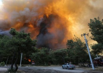 مصر تعزي الشعب التركي في ضحايا الحرائق التي اندلعت جنوبي البلاد 1