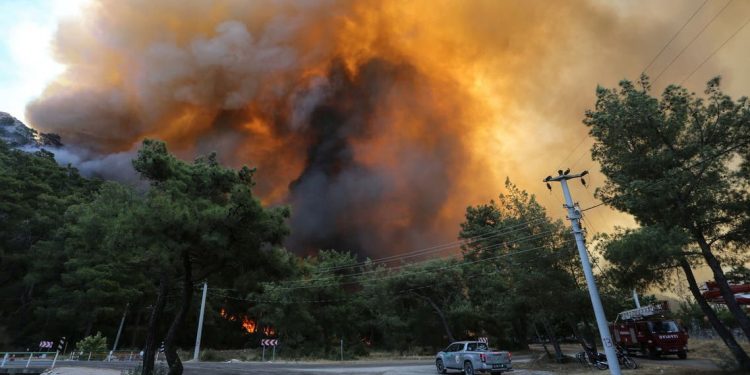مصر تعزي الشعب التركي في ضحايا الحرائق التي اندلعت جنوبي البلاد 1