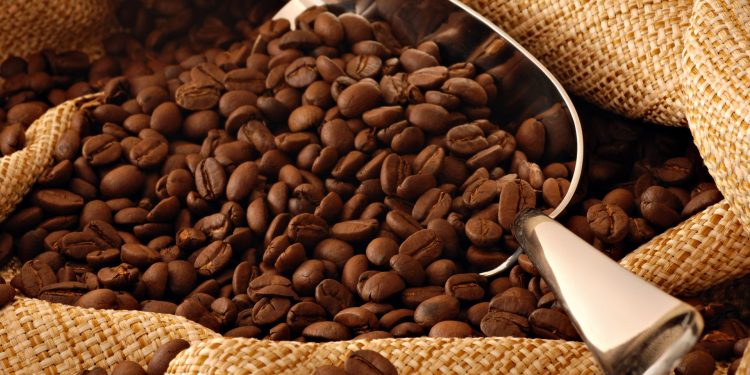 «المزاج في خطر»| ارتفاع اسعار البن عالميًا.. والقهوة في زيادة مستمرة (خاص)
