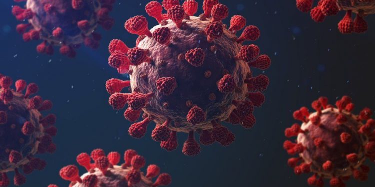 الصين تحتج على تقرير المخابرات الأمريكية بشأن فيروس كورونا 1