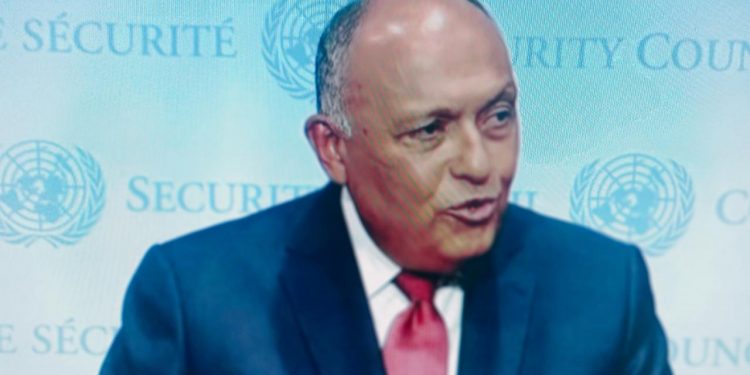 شكري: اثيوبيا ترفض اعتماد الية لفض المنازعات 1