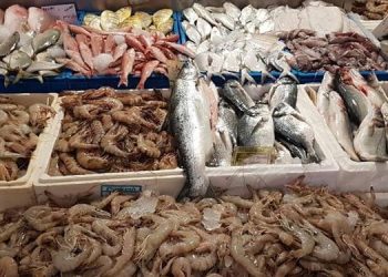 رئيس غرفة بورسعيد التجارية: أسعار الأسماك انخفضت من 50 لـ 70% بعد المقاطعة 3