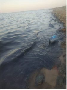 تلوث بترولي يهدد الشعاب المرجانية في سفاجا (صور) 2