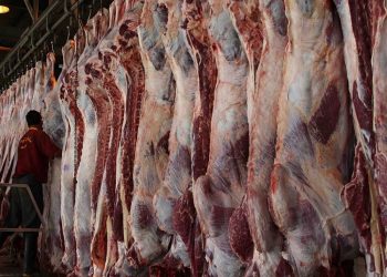 شعبة القصابين لـ أوان مصر : إقبال ضعيف علي اللحوم مقارنة بـ 2020
