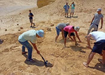 البيئة تنظم تدريب لإعداد كوادر شابة في مجال اكتشاف وصيانة الحفريات
