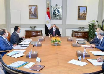 السيسي يوجه بتطوير قطاع التعدين في مصر 5