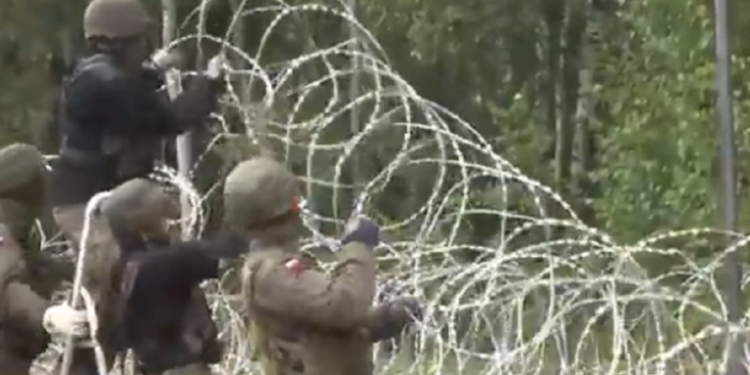 بولندا تسيّج الحدود مع بيلاروس بالأسلاك الشائكة.. فيديو 1