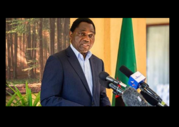 رئيس زامبيا يشيد بدعم مصر لمواجهة فيروس كورونا في بلاده 2