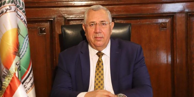 وزير الزراعة: إعلان سعر محصول القمح قبل زراعته في صالح المزارع 1