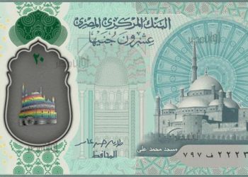 علم المثليين على العملات البلاستيكية الجديدة يسئ للمجتمع المصري 2