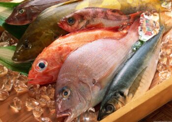 اسعار السمك بالاسواق