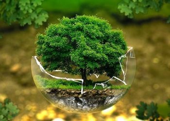 «تحويل شرم الشيخ إلى مدينة خضراء».. البيئة تستعد لاستضافة قمة المناخ COP27 1