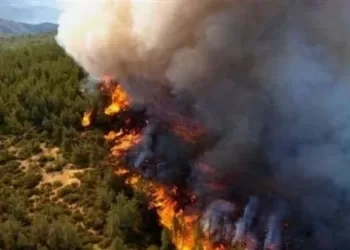 باحثون يكشفون عن "علاقة الحرائق بزيادة إصابات ووفيات كورونا" 3